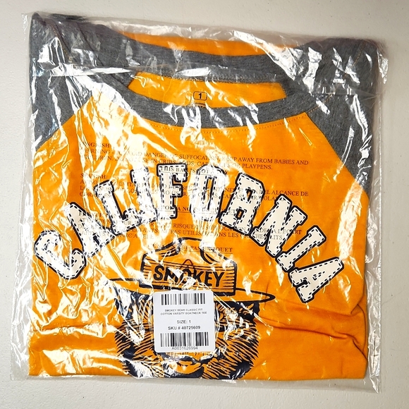 ❤️NWT VINTAGE TORRID TEE SMOKEY BEAR CALIFORNIA PREVENT WILDFIRES SHIRT PLUS - Picture 4 of 11